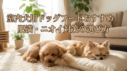 室内犬用ドッグフードおすすめ｜肥満・ニオイ対策の選び方