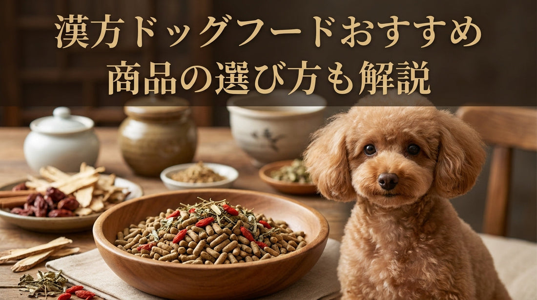 漢方・薬膳ドッグフード　おすすめ人気選び方も解説