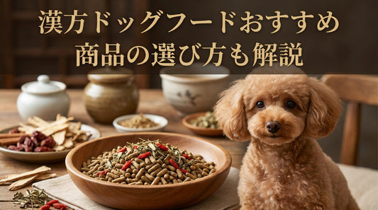 漢方・薬膳ドッグフード　おすすめ人気選び方も解説