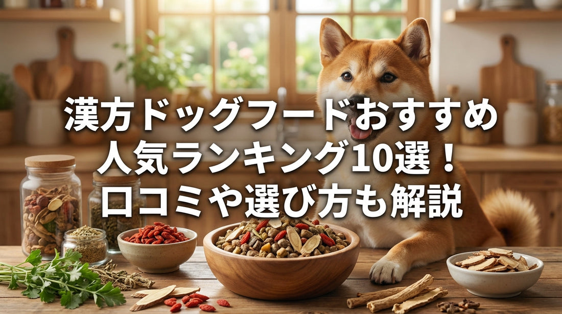 漢方・薬膳ドッグフードおすすめ人気ランキング10選！口コミや選び方も解説