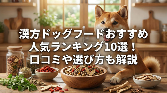 漢方・薬膳ドッグフードおすすめ人気ランキング10選！口コミや選び方も解説