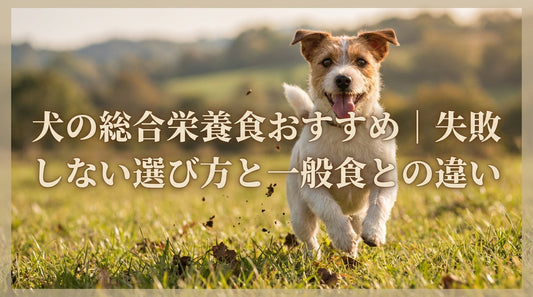 犬の総合栄養食おすすめ｜失敗しない選び方と一般食との違い