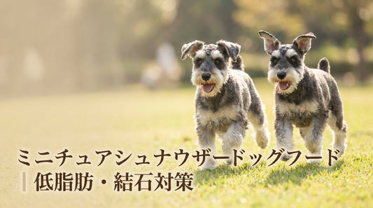 ミニチュアシュナウザードッグフード ｜低脂肪・結石対策