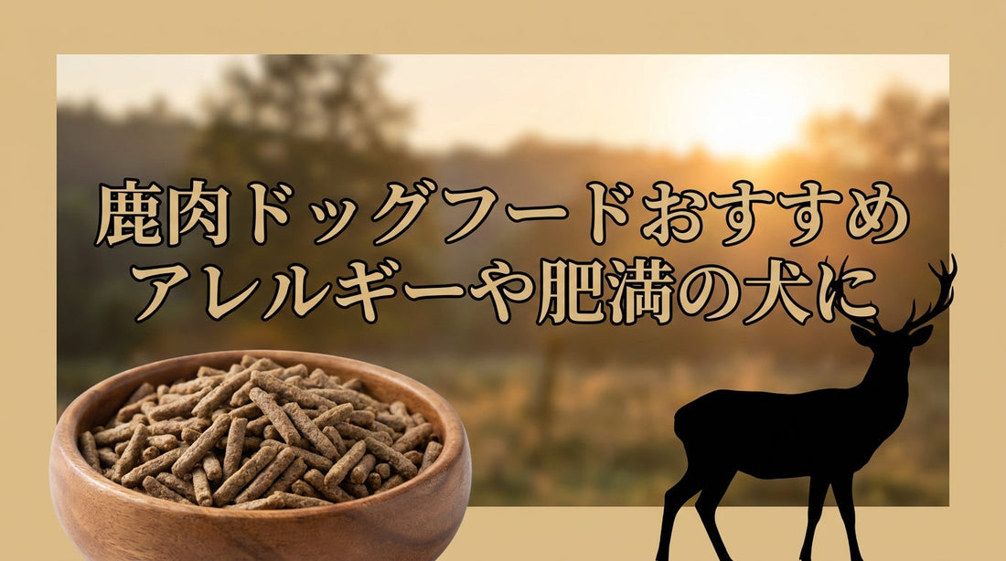 鹿肉ドッグフードおすすめアレルギーや肥満の犬に