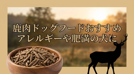 鹿肉ドッグフードおすすめアレルギーや肥満の犬に