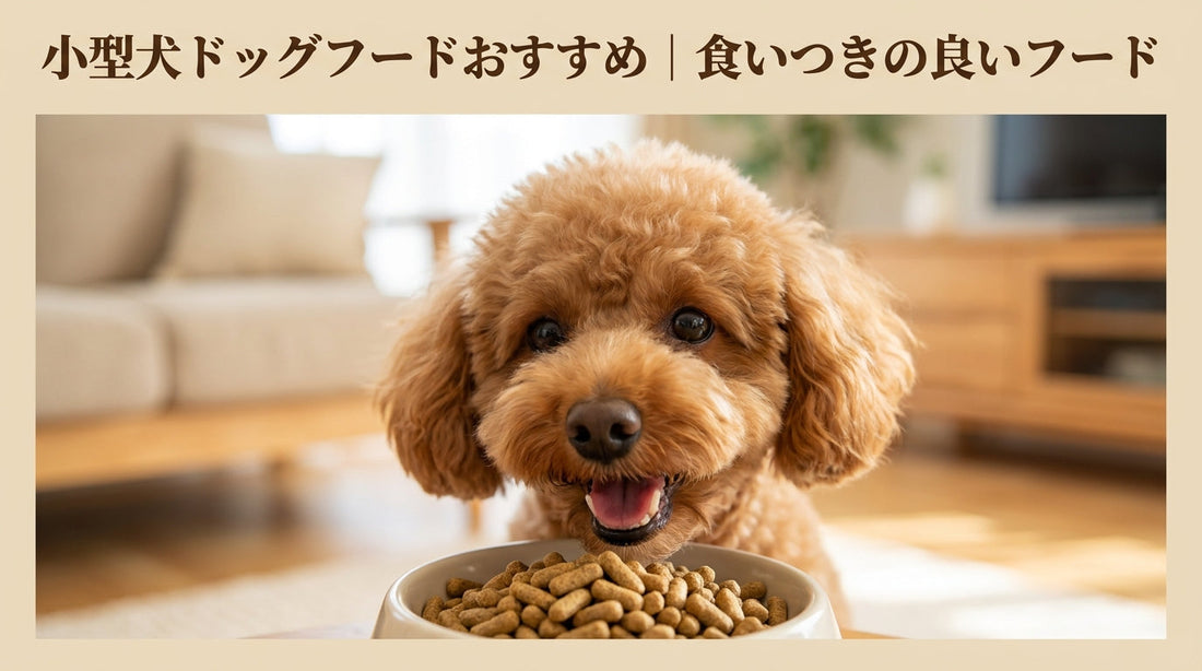 小型犬ドッグフードおすすめ｜食いつきの良いフード