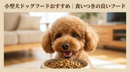 小型犬ドッグフードおすすめ｜食いつきの良いフード