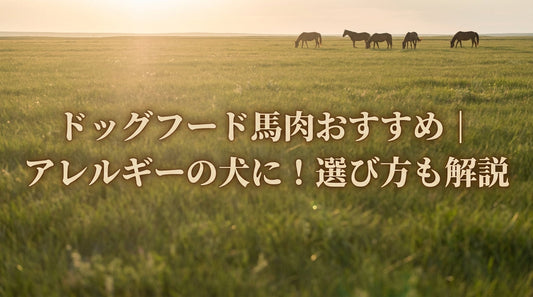 ドッグフード馬肉おすすめ｜アレルギーの犬に！選び方も解説