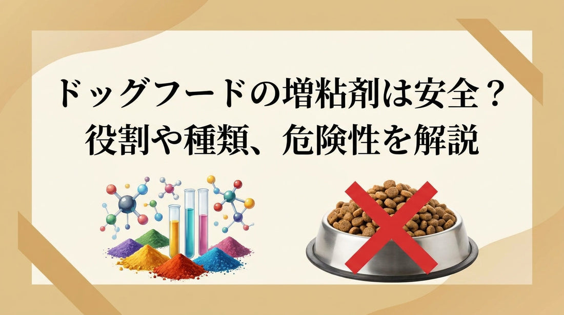 ドッグフードの増粘剤は安全？役割や種類、危険性を解説