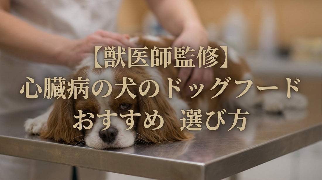 【獣医師監修】心臓病の犬のドッグフード おすすめ 選び方