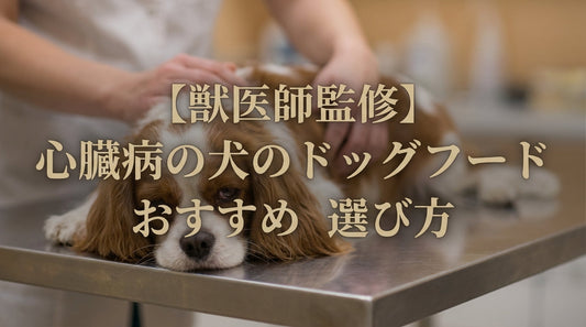 【獣医師監修】心臓病の犬のドッグフード おすすめ 選び方
