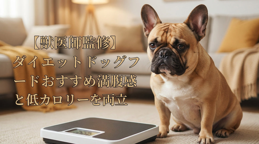 【獣医師監修】ダイエットドッグフードおすすめ満腹感と低カロリーを両立