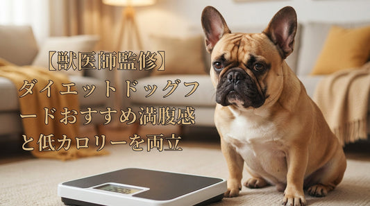 【獣医師監修】ダイエットドッグフードおすすめ満腹感と低カロリーを両立