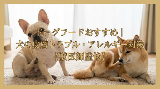 ドッグフードおすすめ｜犬の皮膚トラブル・アレルギー対策【獣医師監修】