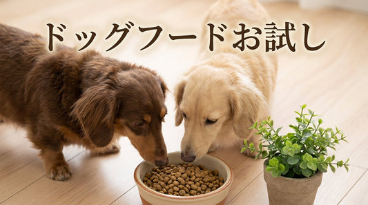 ドッグフードお試し