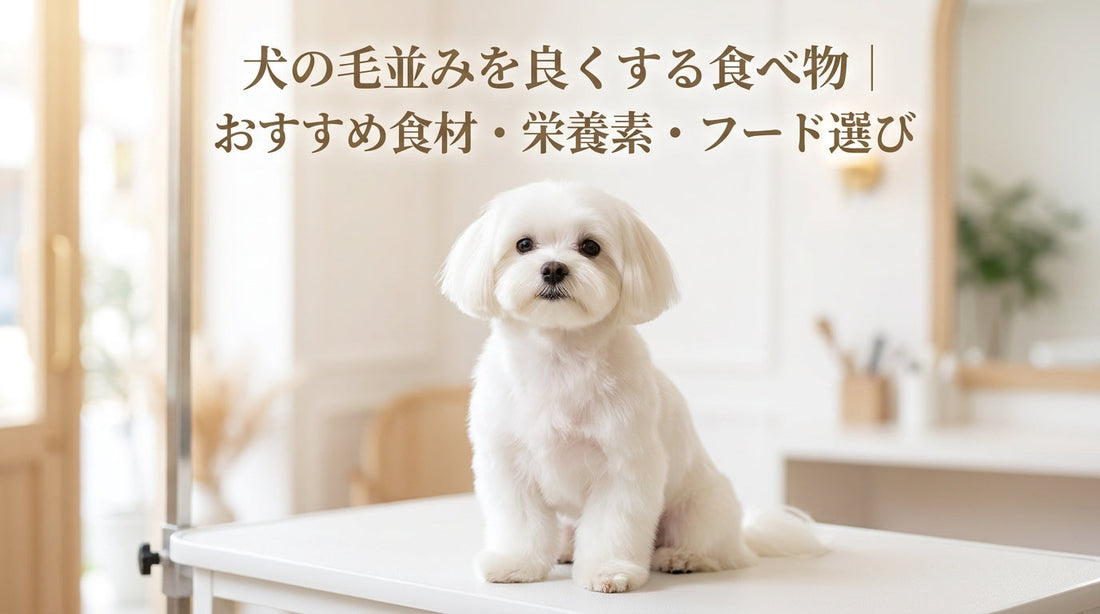 犬の毛並みを良くする食べ物｜おすすめ食材・栄養素・フード
