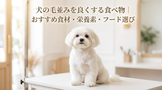 犬の毛並みを良くする食べ物｜おすすめ食材・栄養素・フード