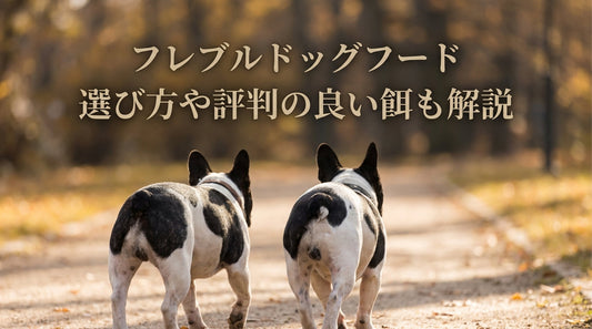 フレブルドッグフード 選び方や評判の良い餌も解説