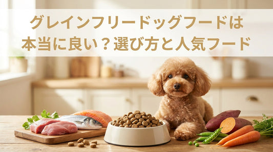 グレインフリードッグフードは本当に良い？選び方と人気フード