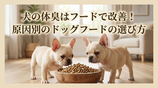 犬の体臭はフードで改善！原因別のドッグフードの選び方
