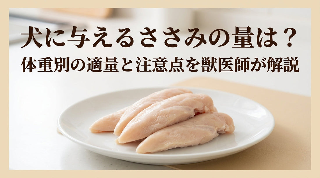 犬に与えるささみの量は？体重別の適量と注意点を獣医師が解説