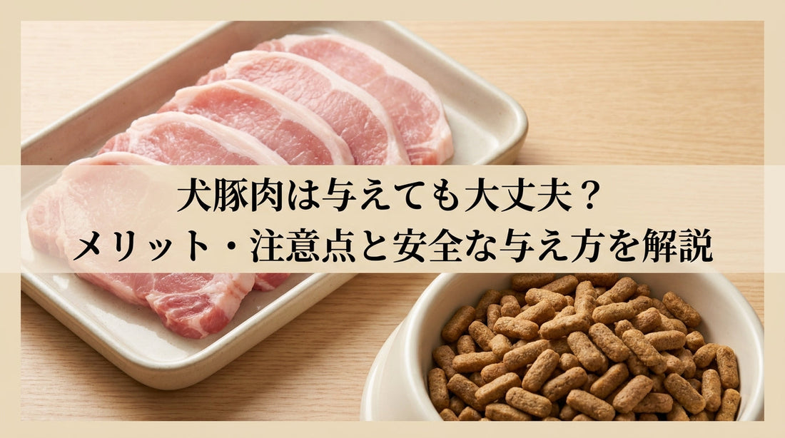 犬豚肉は与えても大丈夫？メリット・注意点と安全な与え方を解説