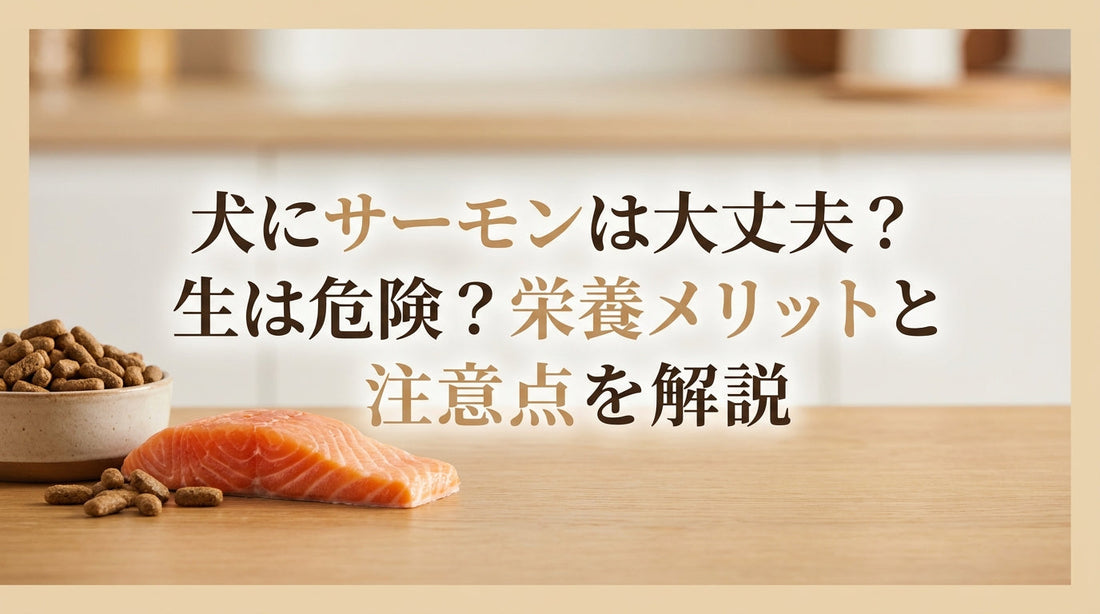 犬にサーモンは大丈夫？生は危険？栄養メリットと注意点を解説