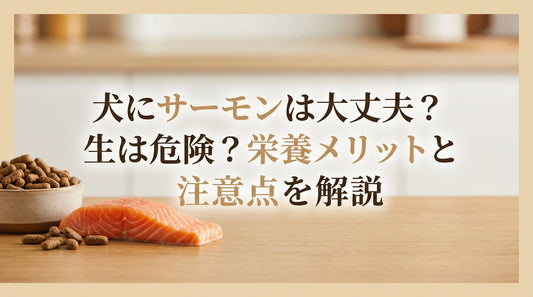 犬にサーモンは大丈夫？生は危険？栄養メリットと注意点を解説