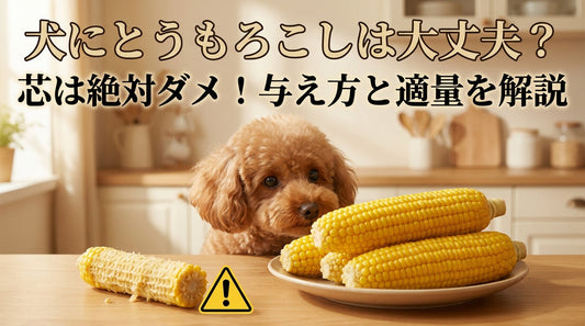 犬にとうもろこしは大丈夫？芯は絶対ダメ！与え方と適量を解説