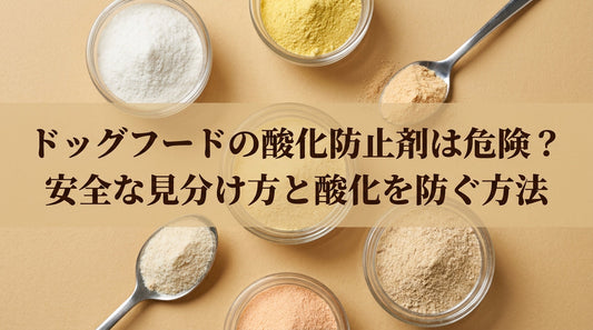 ドッグフードの酸化防止剤は危険？安全な見分け方と酸化を防ぐ方法
