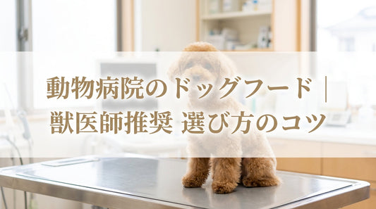 動物病院のドッグフード｜獣医師推奨 選び方のコツ