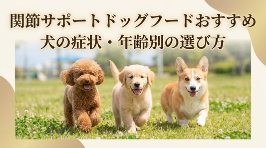 関節サポートドッグフードおすすめ 犬の症状・年齢別の選び方