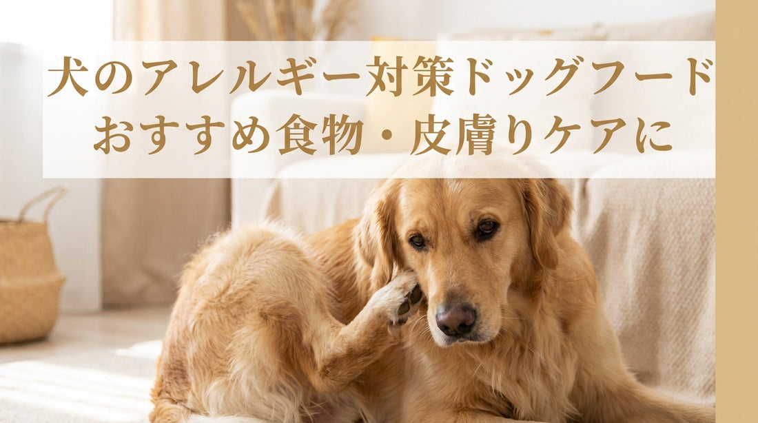 犬のアレルギー対策ドッグフードおすすめ食物・皮膚ケアに