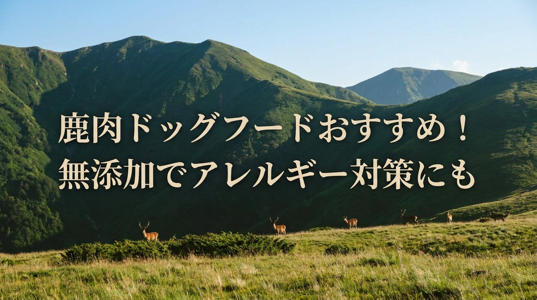 鹿肉ドッグフードおすすめ！無添加でアレルギー対策にも