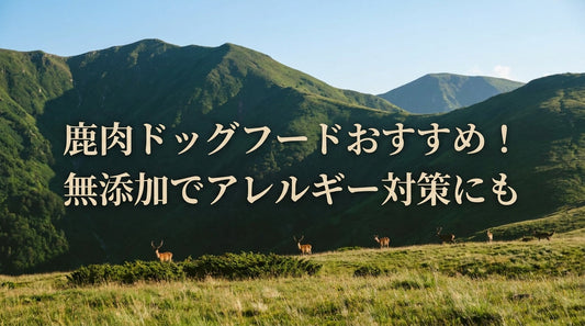 鹿肉ドッグフードおすすめ！無添加でアレルギー対策にも