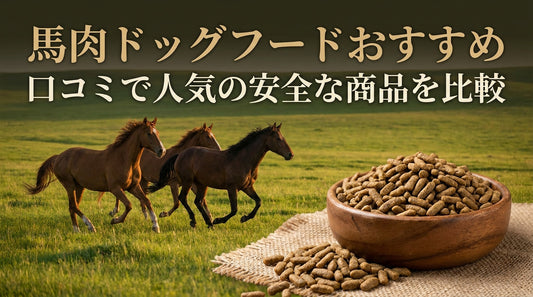 馬肉ドッグフードおすすめ 口コミで人気の安全な商品を比較