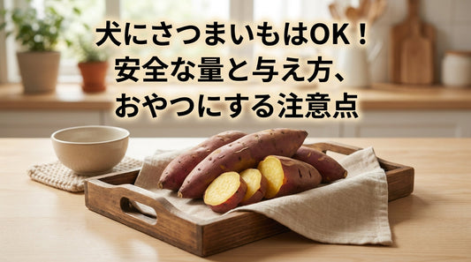 犬にさつまいもはOK！安全な量と与え方、おやつにする注意点
