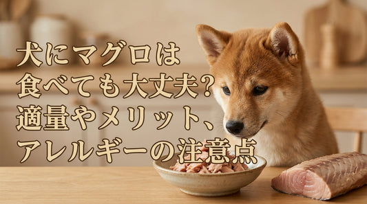 犬にマグロは食べても大丈夫？適量やメリット、アレルギーの注意点
