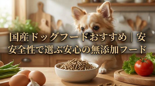 国産ドッグフードおすすめ｜安全性で選ぶ安心の無添加フード