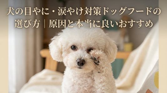 犬の目やに・涙やけ対策ドッグフードの選び方｜原因と本当に良いおすすめ