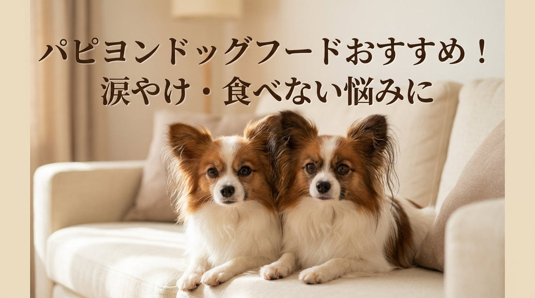 パピヨンドッグフードおすすめ！涙やけ・食べない悩みに