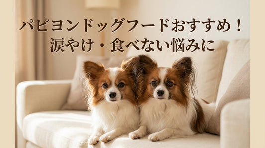 パピヨンドッグフードおすすめ！涙やけ・食べない悩みに