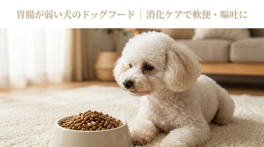 胃腸が弱い犬のドッグフード ｜消化ケアで軟便・嘔吐に