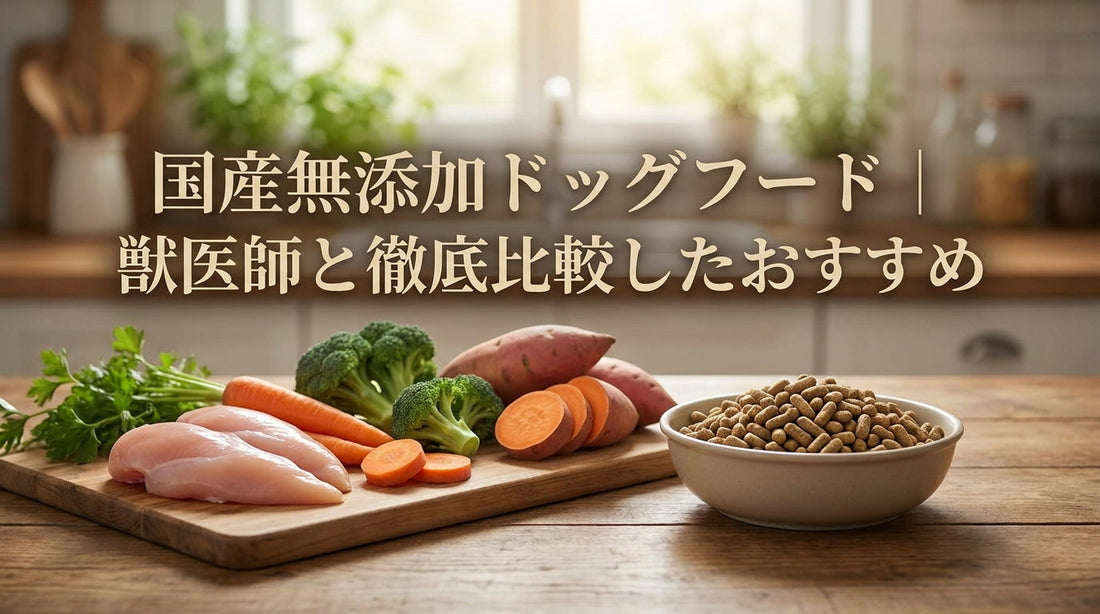国産無添加ドッグフード｜獣医師と徹底比較したおすすめ
