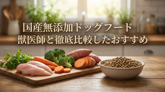 国産無添加ドッグフード｜獣医師と徹底比較したおすすめ
