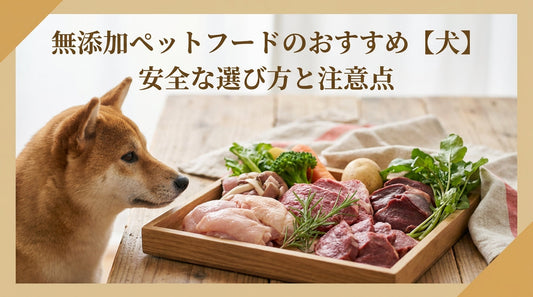 無添加ペットフードのおすすめ 【犬】に安全な食材選びと注意点