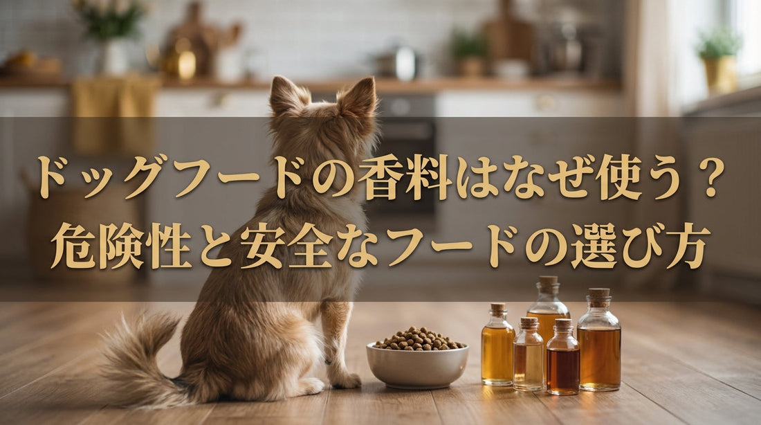ドッグフードの香料はなぜ使う？危険性と安全なフードの選び方