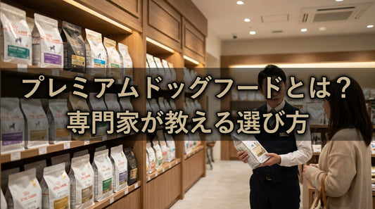 プレミアムドッグフードとは？専門家が教える選び方