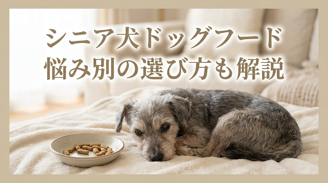 シニア犬ドッグフード 悩み別の選び方も解説