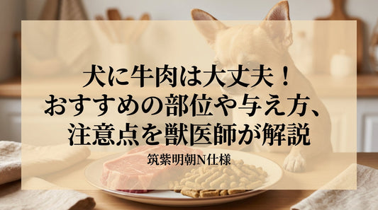 犬に牛肉は大丈夫！おすすめの部位や与え方、注意点を獣医師が解説